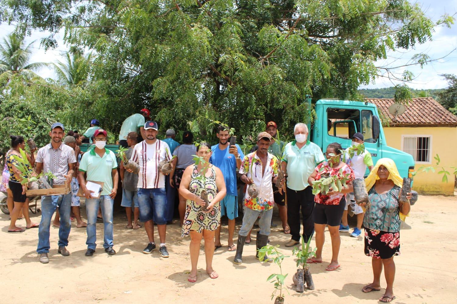 Secretaria de Agricultura de Itanhém faz distribuição de mudas em Batinga e comunidades