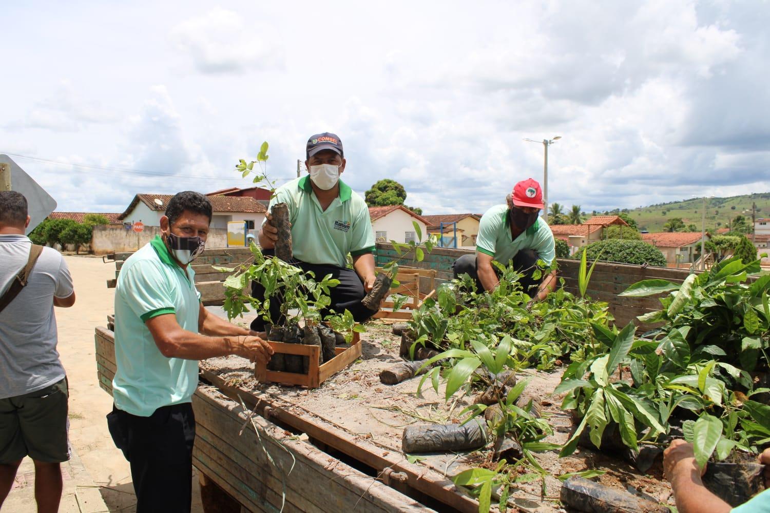 Secretaria de Agricultura de Itanhém faz distribuição de mudas em Batinga e comunidades
