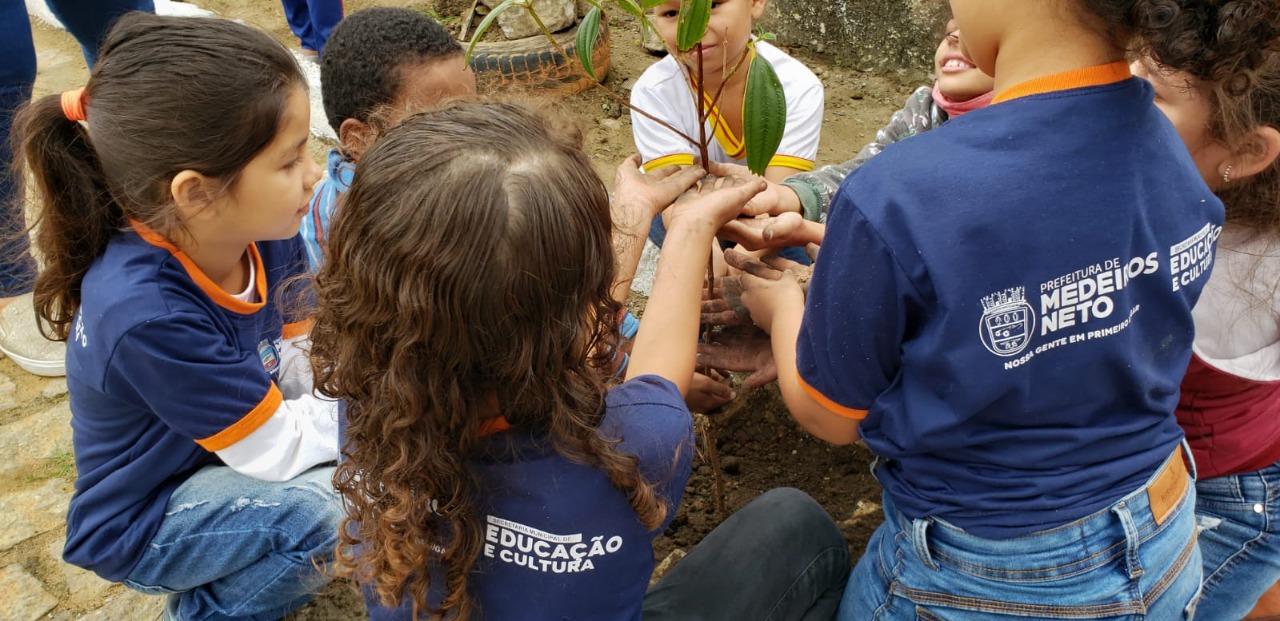 Equipes voluntárias se unem em ação de revitalização da Ilha Tropical, em Medeiros Neto